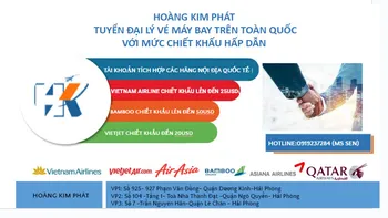 img-agency-hai-phong